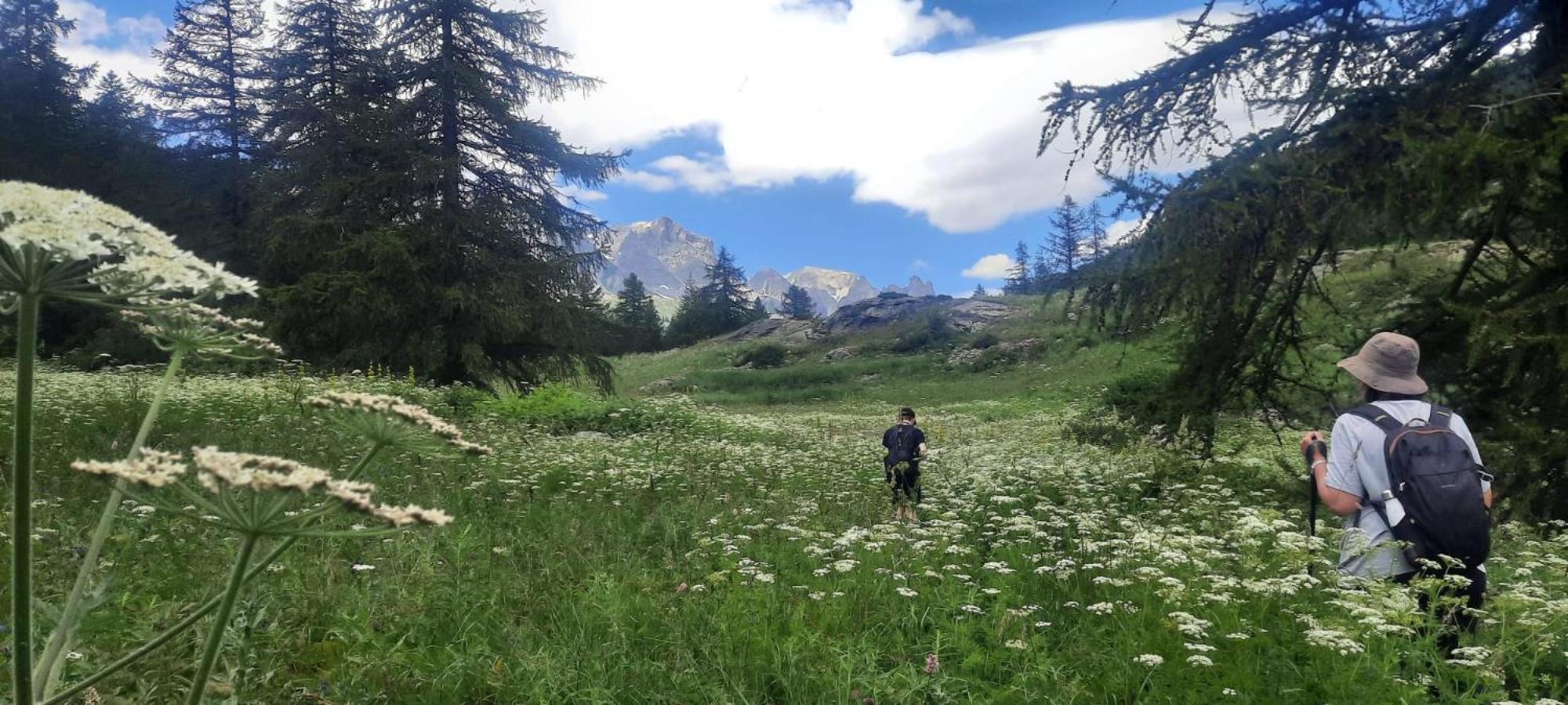 Апартаменти Superbe T2 A 2 Pas Des Pistes Et Des Sentiers De Randonnee Бріансон Екстер'єр фото